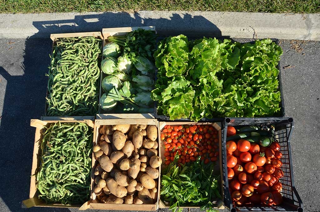 2015 - L'orto aziendale