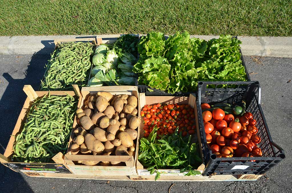 2015 - L'orto aziendale