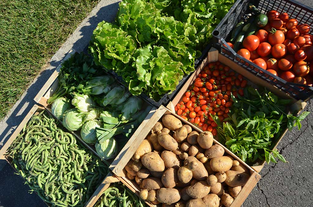 2015 - L'orto aziendale