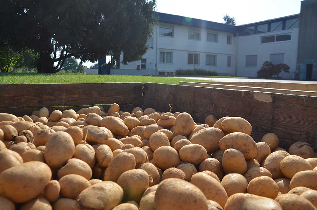 2015 - L'orto aziendale