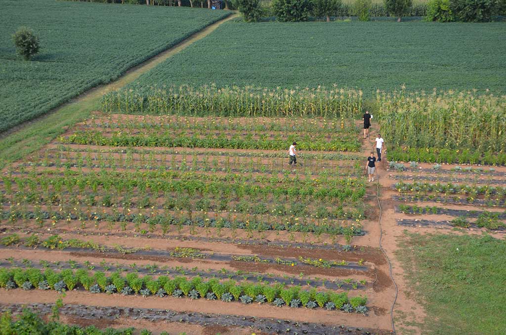 2015 - L'orto aziendale