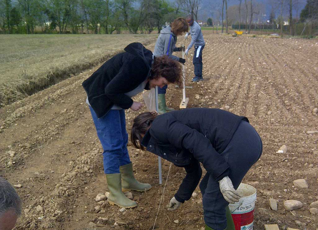 2015 - L'orto aziendale