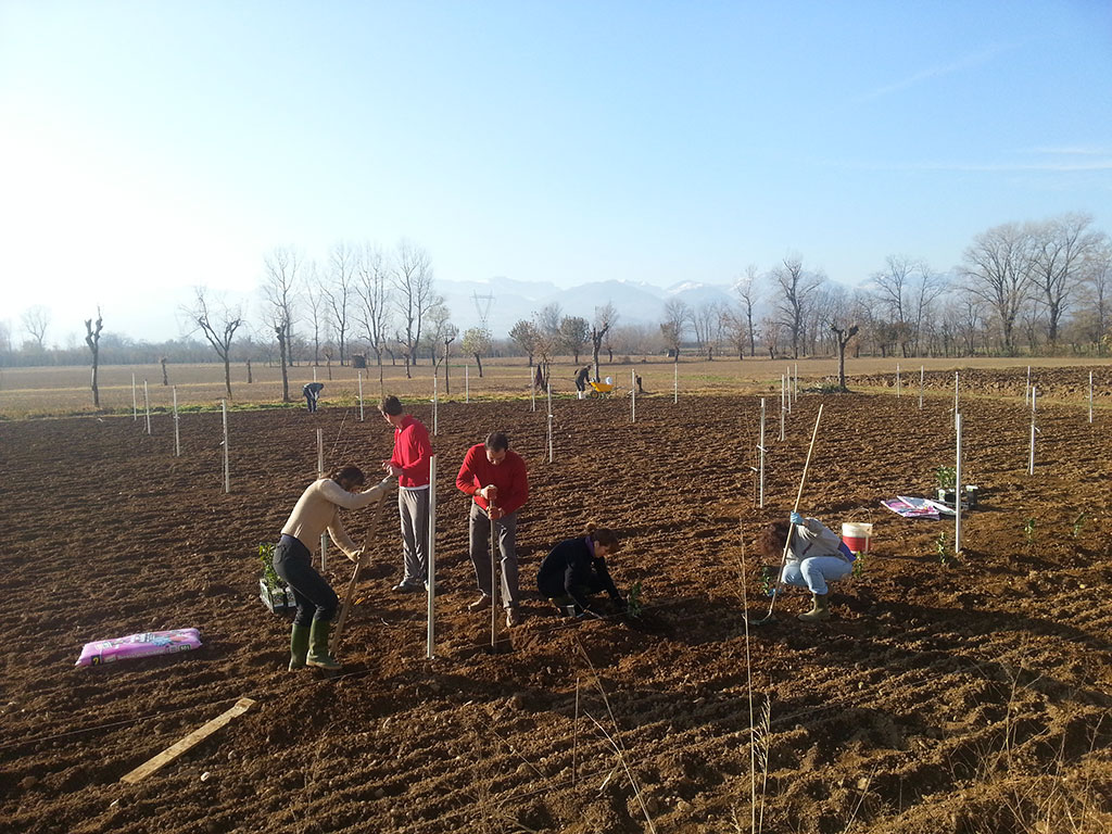 2015 - L'orto aziendale