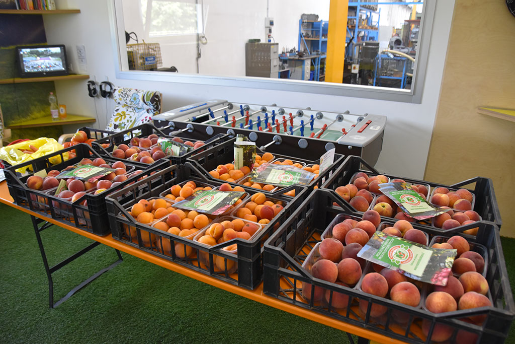 2017 - Giornate del gusto